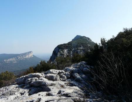 belle ambiance avec l' Hortus sur la gauche et un des éperons du pic St Loup en face !