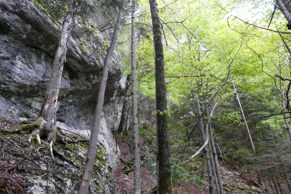 Montée le long de la falaise