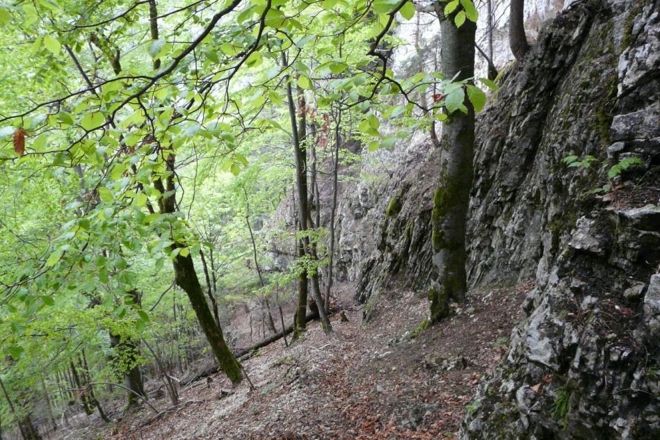 la montée à la grotte merveilleuse vue du haut