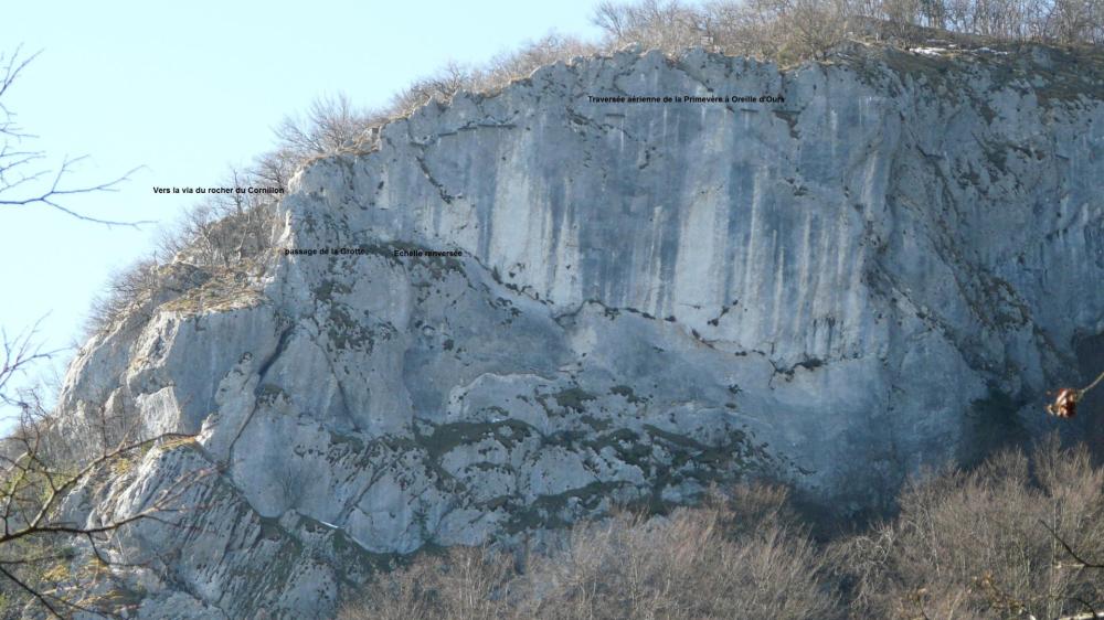 Primevère à Oreille d 'Ours au Cornillon, vue depuis le col du Chat