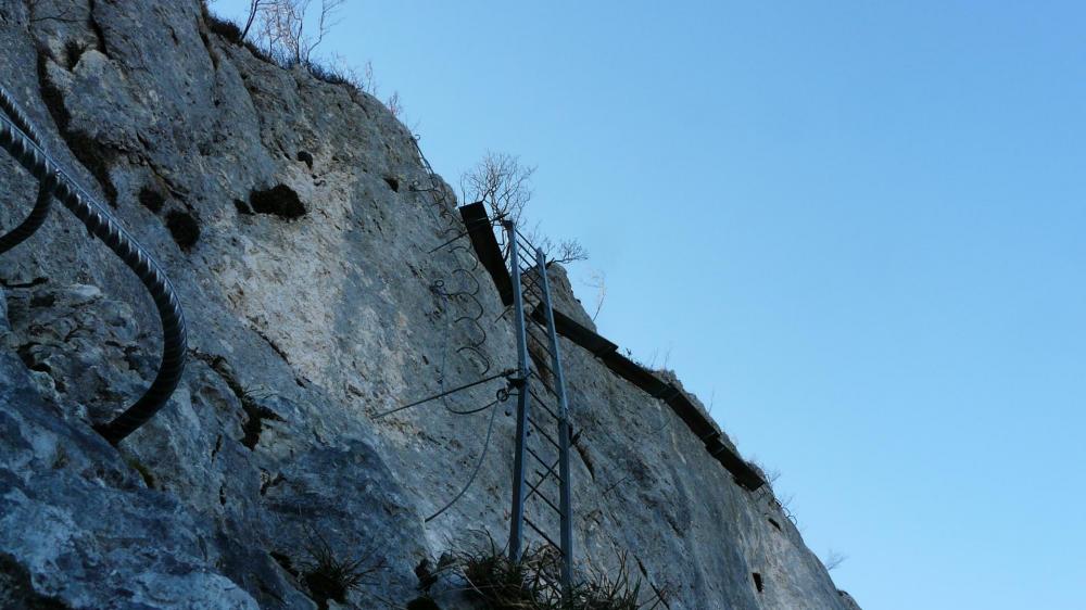 Primevère à Oreille d 'Ours au Cornillon, l' échelle inversée vue depuis la grotte