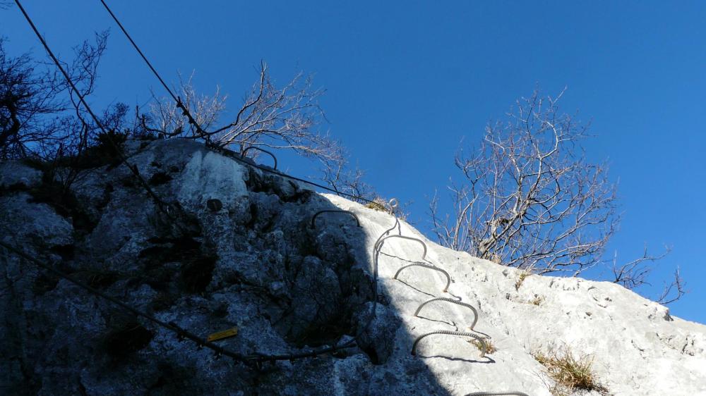 Les ponts de singe au dessus du passage de la grotte, Primevère à Oreille d'ours